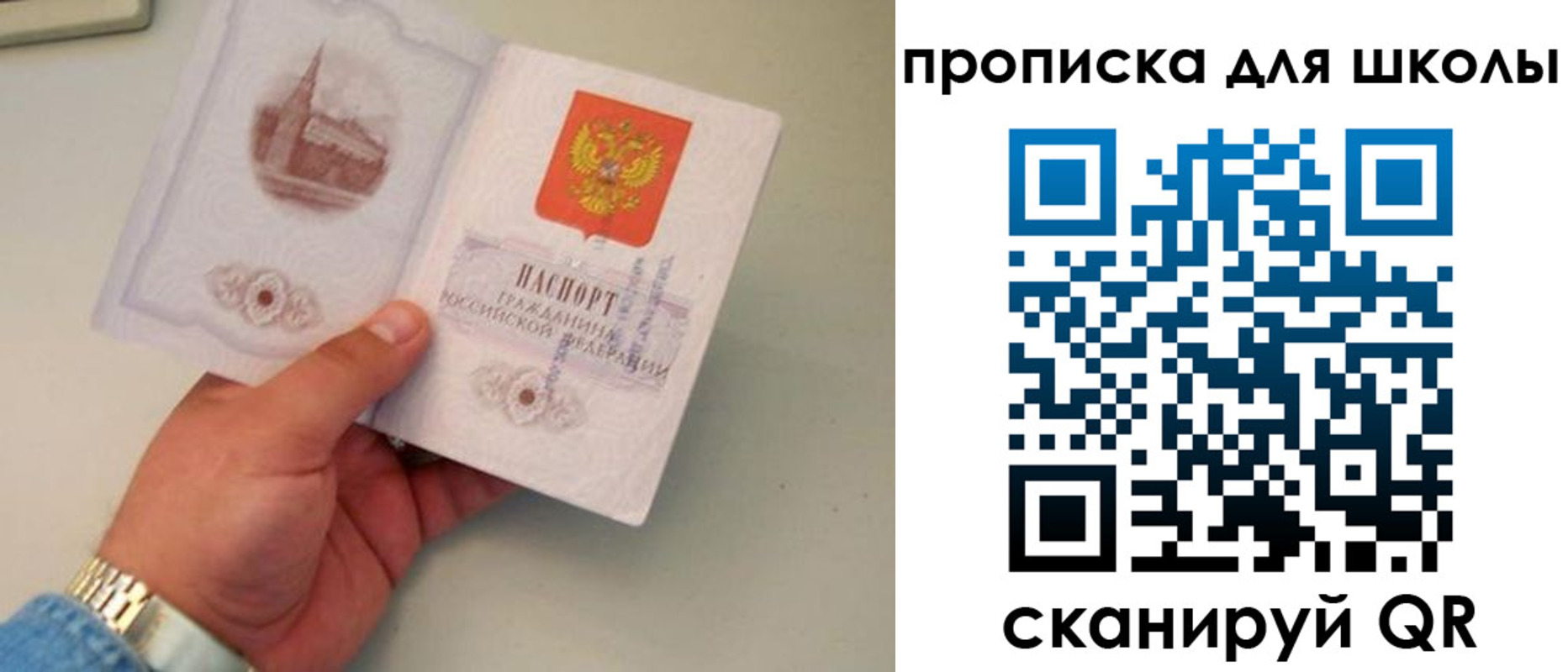временная регистрация поиск в Дальнегорске